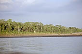 Canoe journey down the rivers of the Madre de Dios department in the Manu reserve